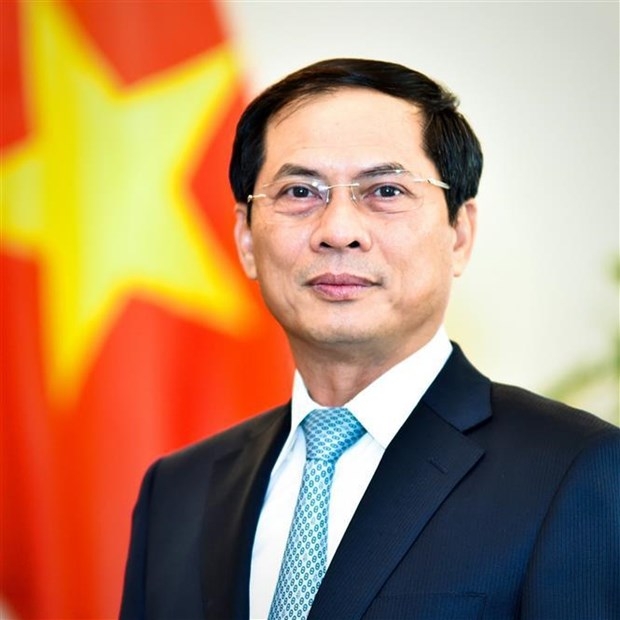 Minister of Foreign Affairs Bui Thanh Son (Photo: VNA)