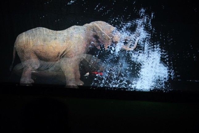 The shows creates 3D images from hologram projectors throughout the arena to allow 360° visibility for the entire audience.