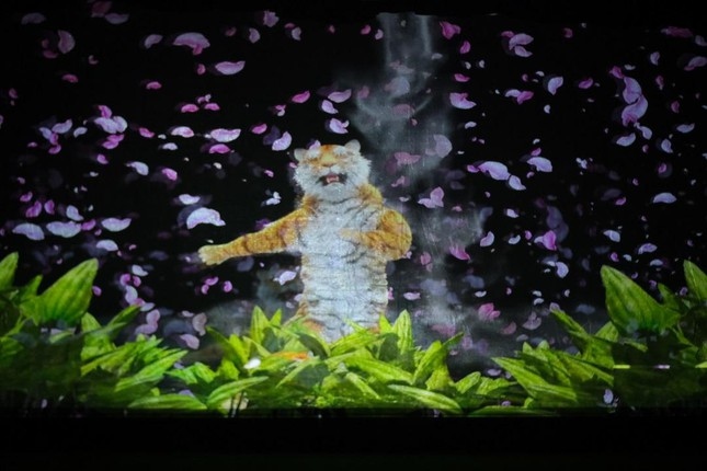 Each audience member enjoys a mesmerising holography experience through the laser projectors.