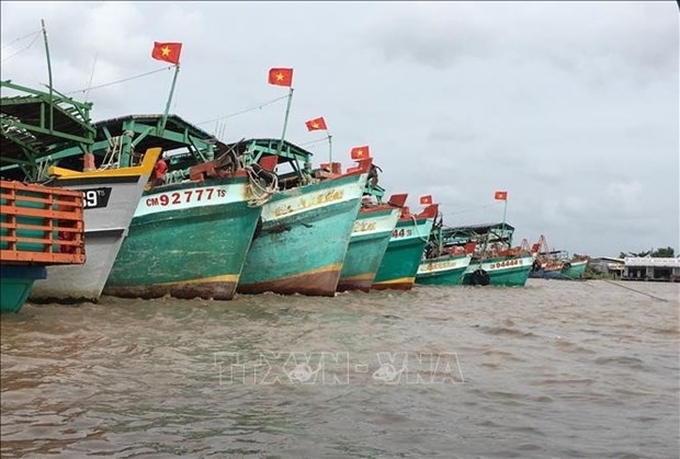 Fishing boats in Ca Mau