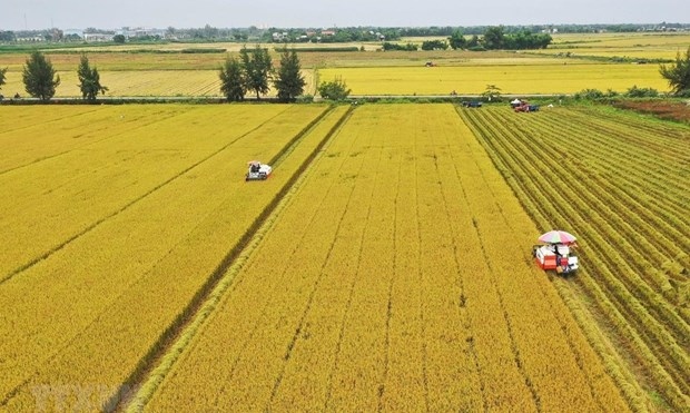 Rice cultivation emits the most greenhouse gas in agriculture at present