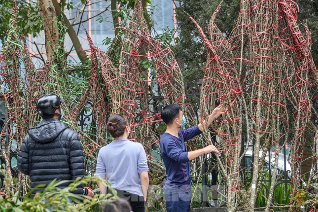 Mossy peach trees which are typically brought from northern mountainous are also sold at the site.