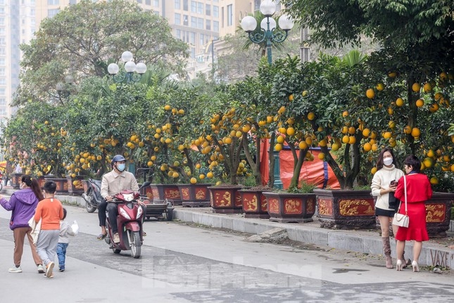 The busiest scenes are recorded at Lac Long Quan flower garden where dozens of outlets are based.