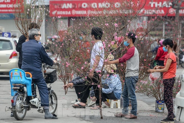 People flock to the market to purchase fresh flowers and ornamental plants for their Tet decorations.