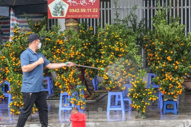 Watering trees in order to keep them fresh throughout the entire day
