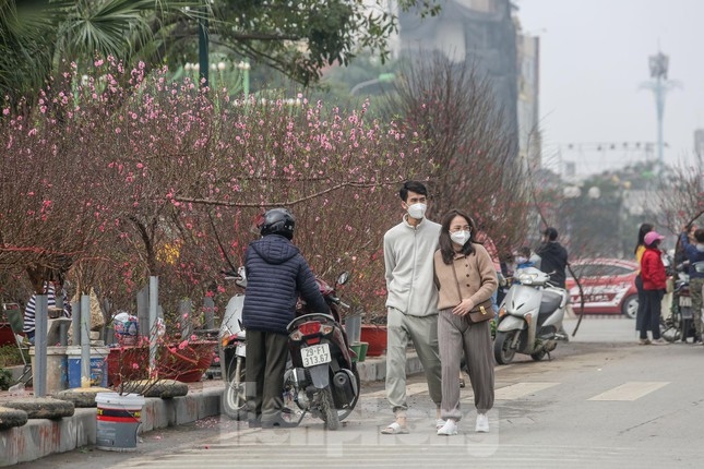 Many local residents head to the market early to seek their favourite trees.
