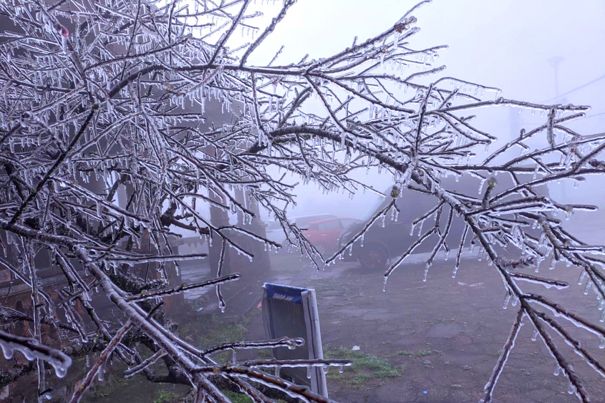 Trees are left covered with heavy winter frost following a strong cold spell which hits the north of the nation last weekend.