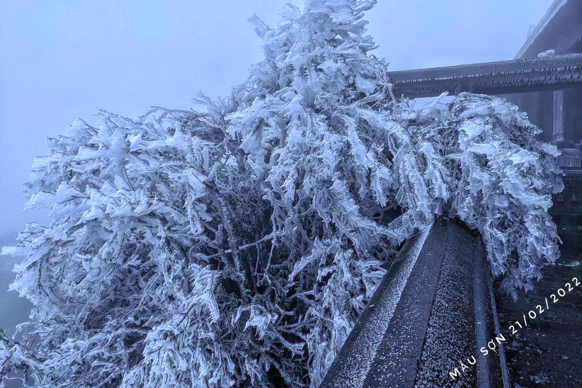 The peak of Mau Son mountain records temperatures of between -1 and -2 degrees Celsius.
