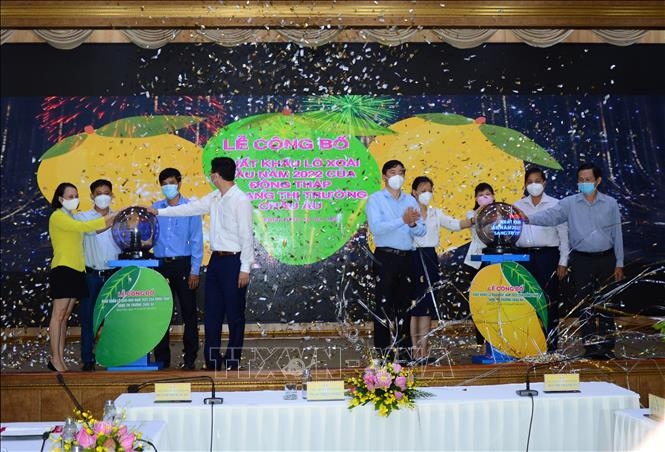 Dong Thap holds a ceremony on Feb. 19 marking the export of the first batch of mangos to Europe. (Photo: VNA)