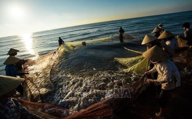 Fishing activities in Quang Xuong, Thanh Hoa