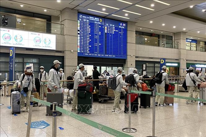 Vietnamese workers conduct entry procedures at Incheon International Airport (Photo: VNA)