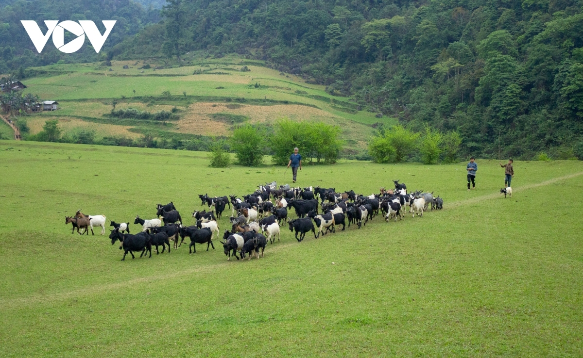 Just a 50km drive from Cao Bang city, the mountain stands out in the poetic, peaceful landscape as it rises above the nomadic steppe.