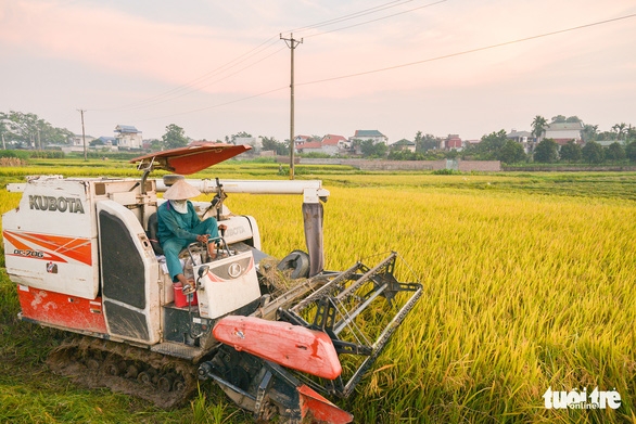 Typical co-operation activities between Vietnam and the Netherlands include high-tech agriculture to respond to climate change  (Photo: tuoitre.vn)