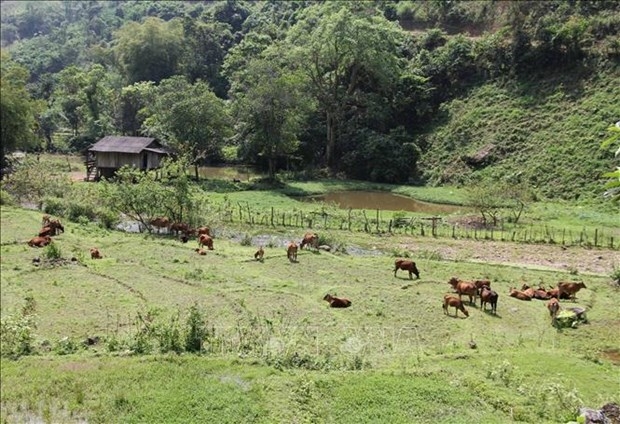 Vietnam has made remarkable progress in poverty reduction in the 2010 – 2020 period.