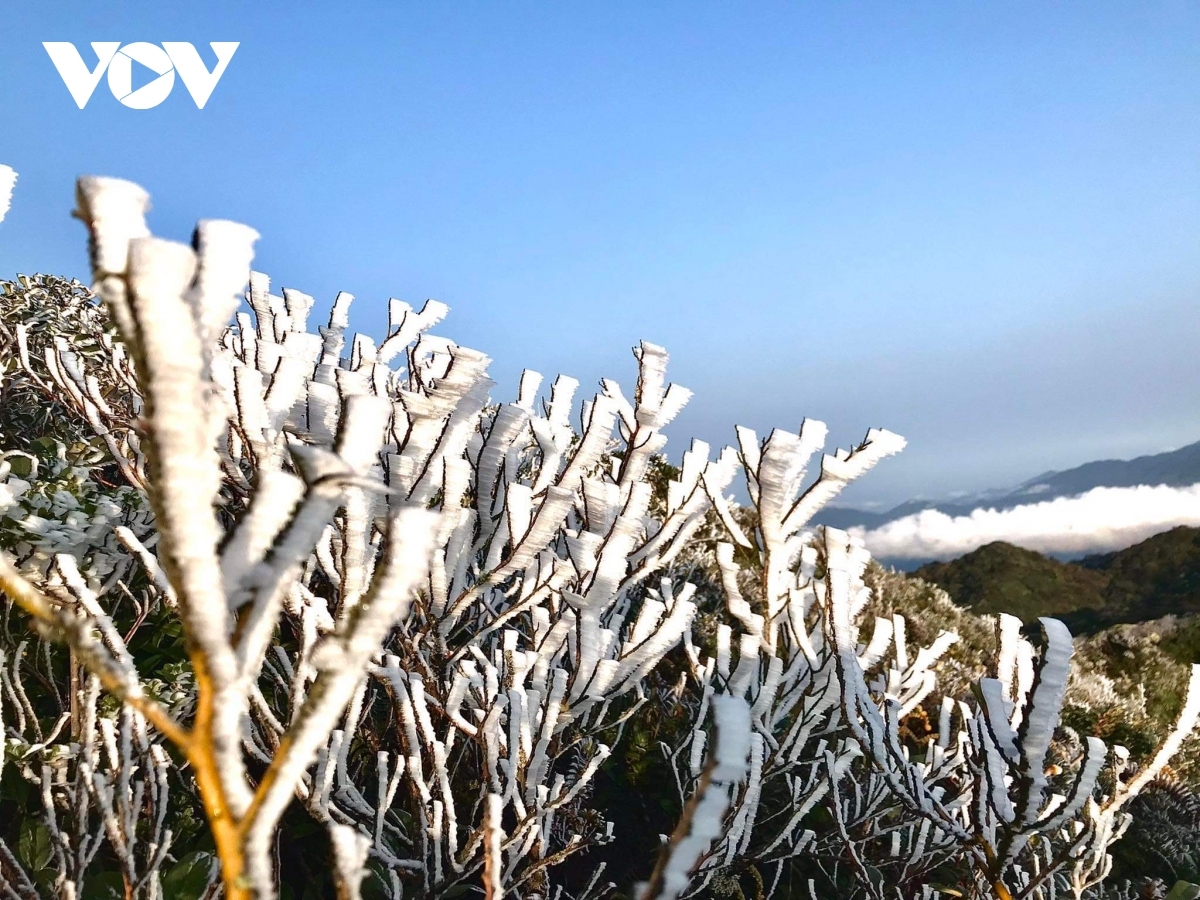 Currently, frost has covered primeval forests on U Bo peak, which is situated roughly 2,800 metres above sea level.