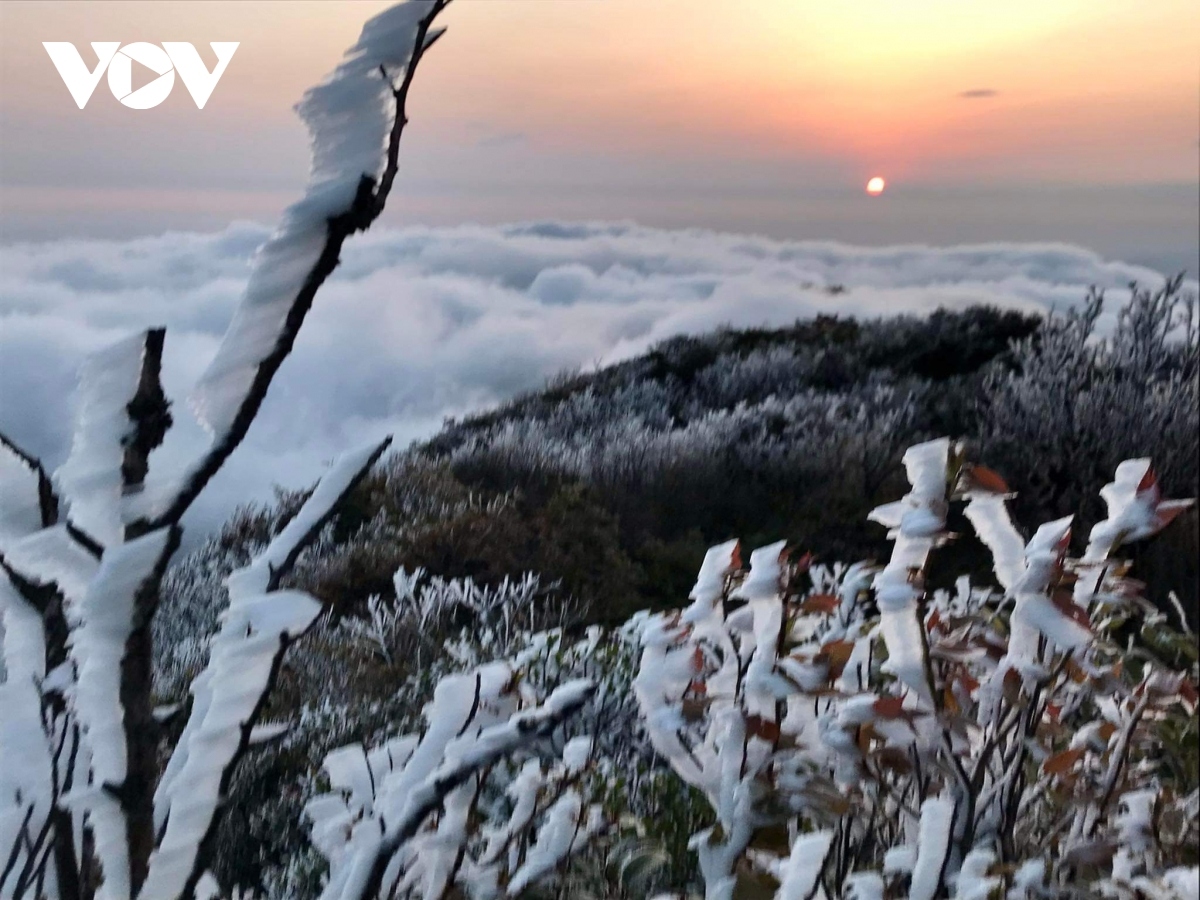 As temperatures drop to below zero degrees Celsius, the layer of ice grows thicker in U Bo mountain peak in Son La province.