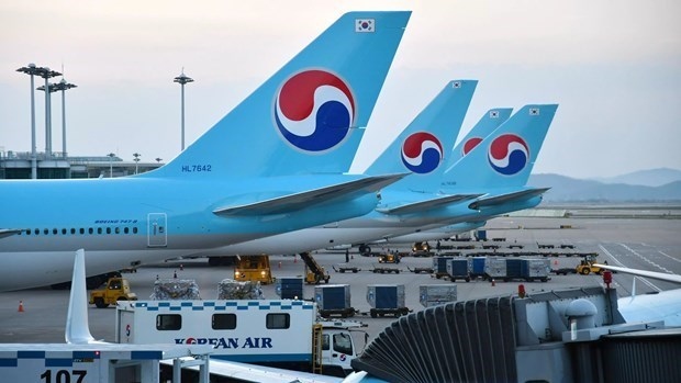 Korean Air planes (Photo: Nikkei.com)