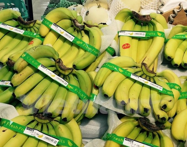 Vietnamese bananas hit supermarket shelves in Japan (Photo: VNA)