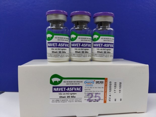 NAVET-ASFVAC experimental vaccine