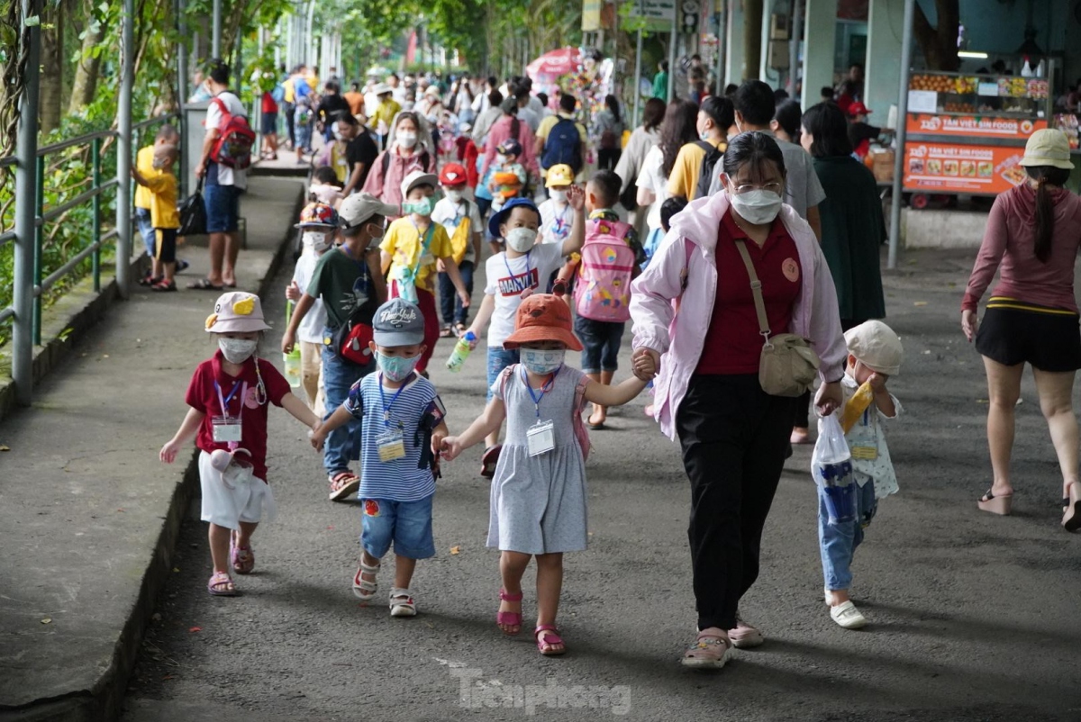 There are also teachers and children from various kindergartens in the southern city who come to tour the area.