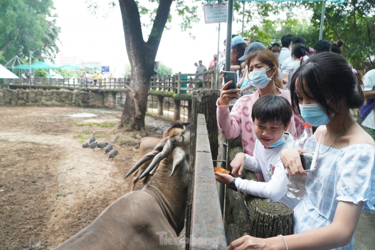 A child is excited at the chance of feeding animals.