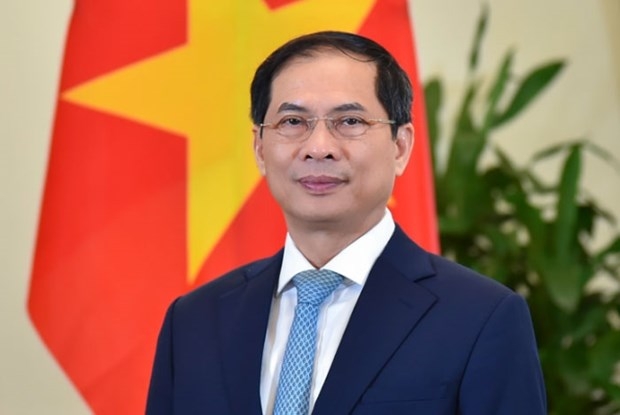 Foreign Minister Bui Thanh Son (Source: Ministry of Foreign Affairs)