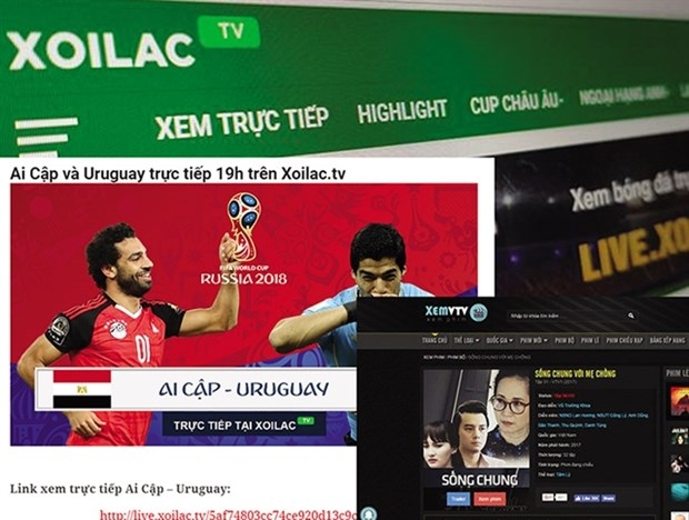 Some copyright-infringed websites (Photo: baodautu.vn)
