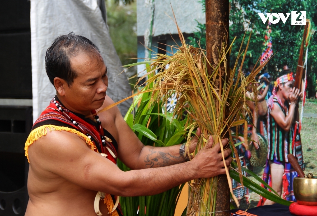 Rice is one of the indispensable items in the daily life of various ethnic groups, including the Co Tu.
