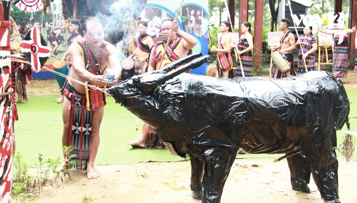 The ritual of slaughtering buffalo makes up a crucial part of the festival.