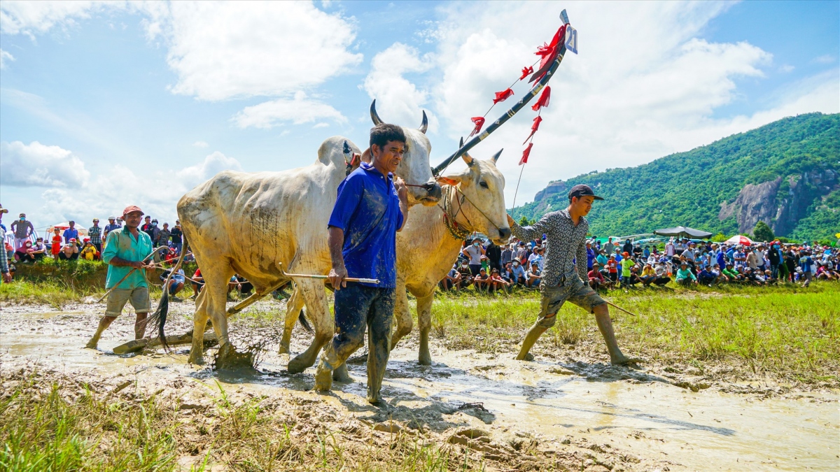 In 2016 the Ministry of Culture, Sports and Tourism recognised the Bay Nui Ox Race as part of the country’s national intangible cultural heritage.