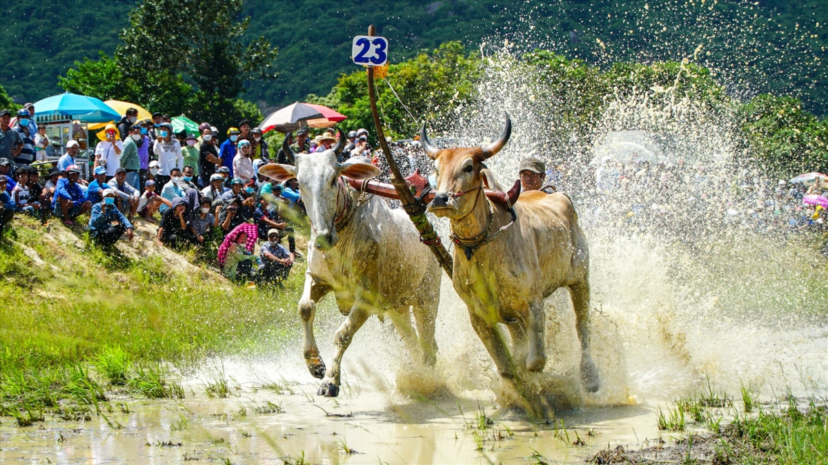 A sprint towards the finish line.