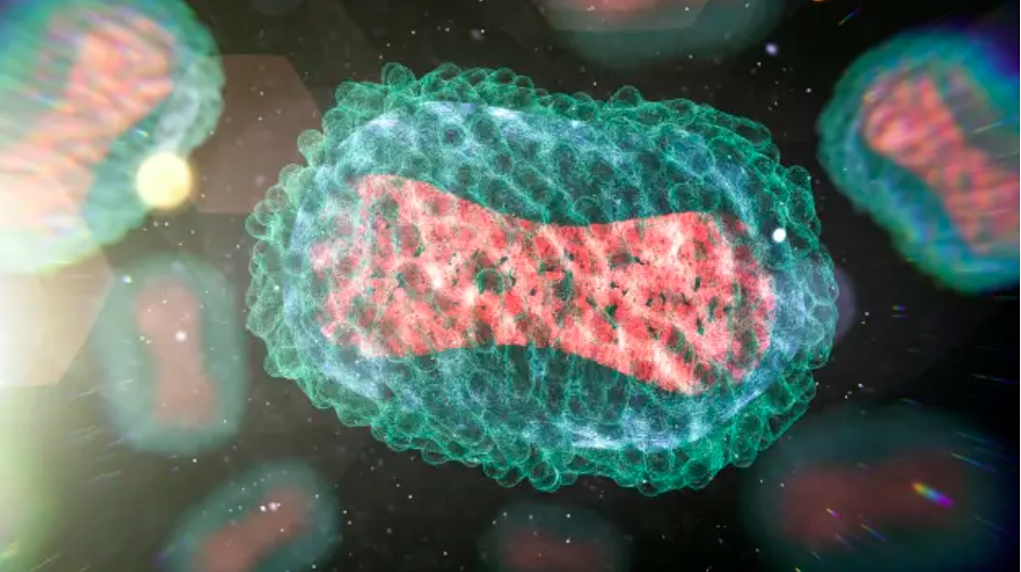 Monkeypox virus illustration. (Photo: Getty Images)