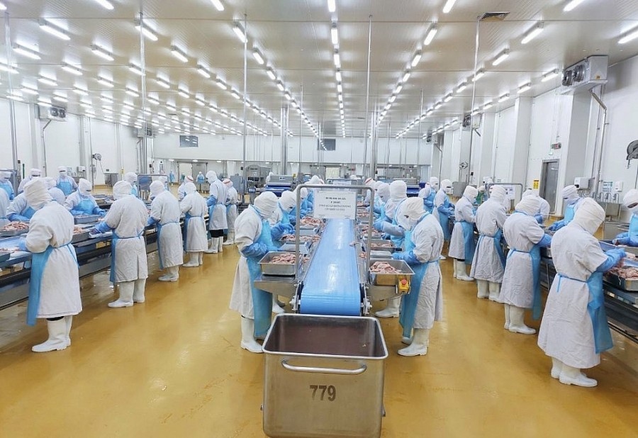 Chicken processing plant of  CPV Food in the southern province of Binh Phuoc