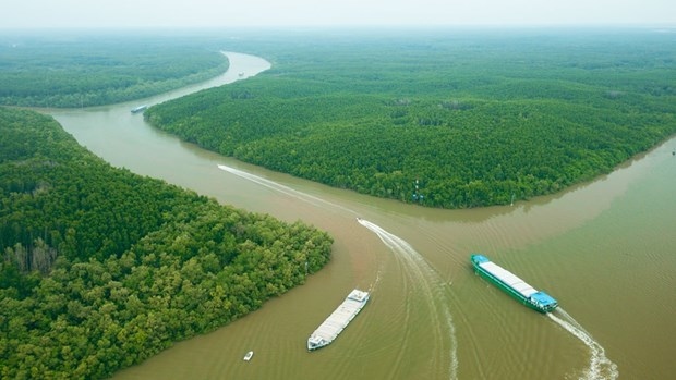 Can Gio district is set to develop into a high-quality resort and ecotourism city in the near future. (Illustrative image: thanhnien.vn)
