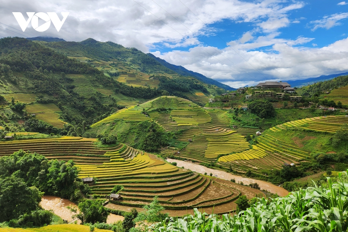 The end of September and early October is the best time for travel lovers to head to the area and capture the most beautiful landscapes of terraced fields that Mu Cang Chai has to offer.