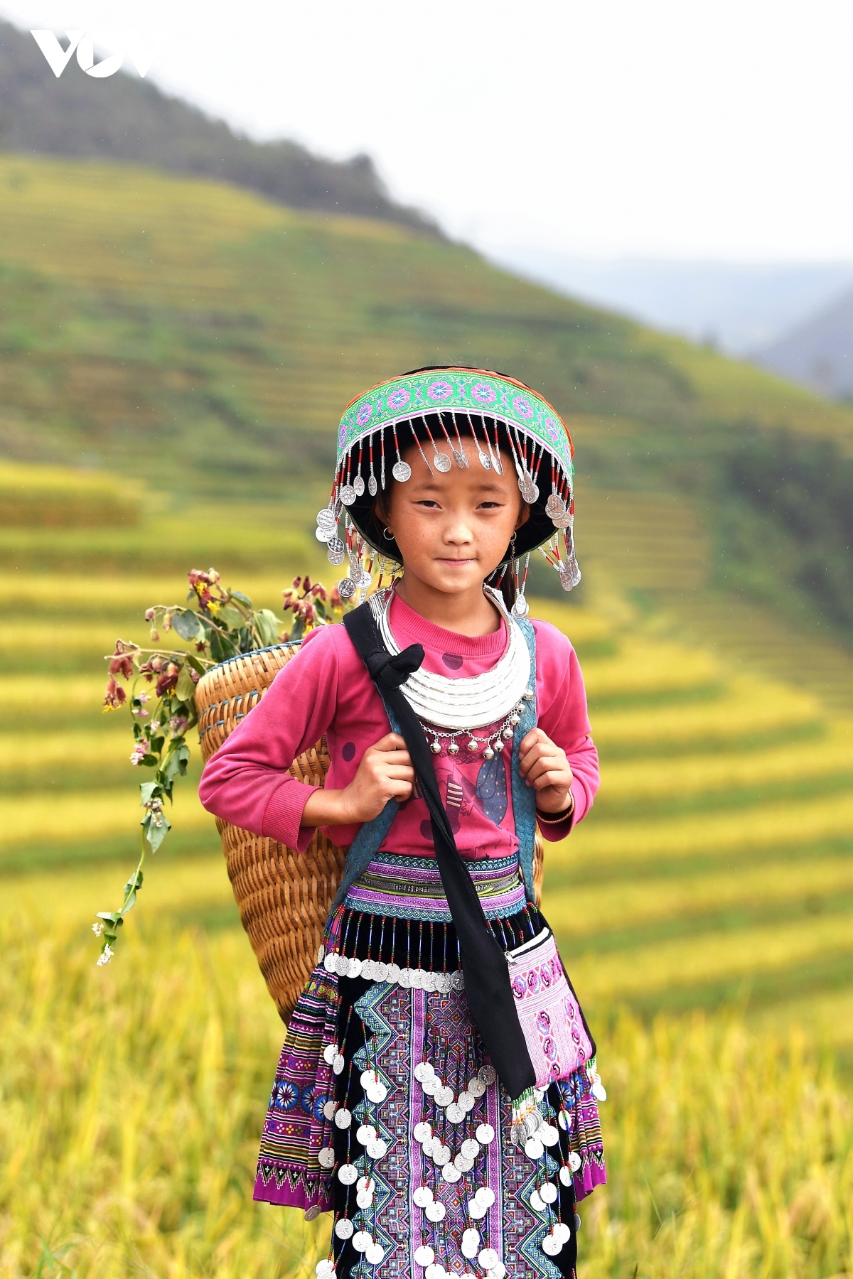 Children are on hand to support their parents as they harvest the ripening rice.