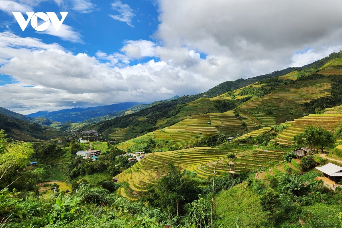 These fields have been cultivated with great care by the Mong ethnic minority group for several centuries.