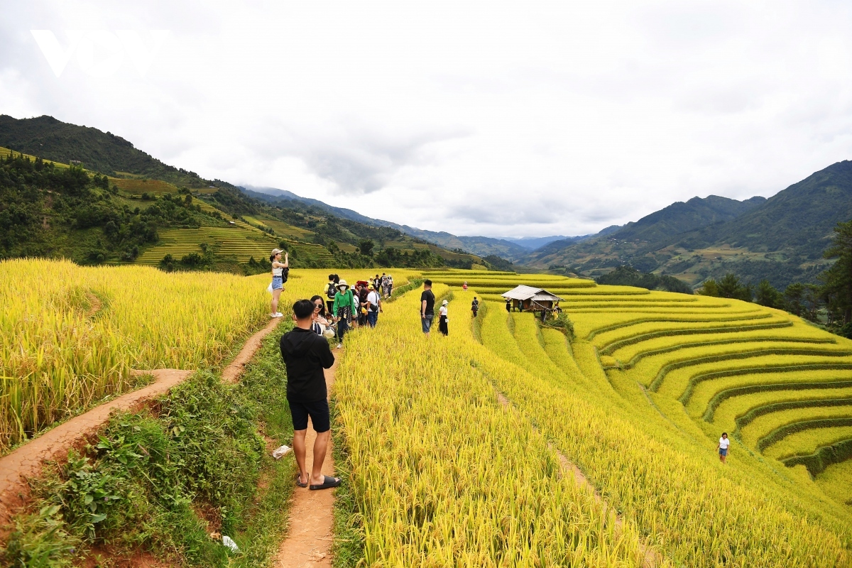 Mu Cang Chai terraced fields have long been considered to be a must-visit destination for tourists heading to the country’s northwestern region.