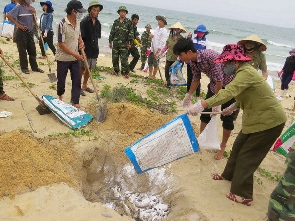 Fishermen and border guards collect and bury dead fish washed ashore in 2016. (Photo: VNA)