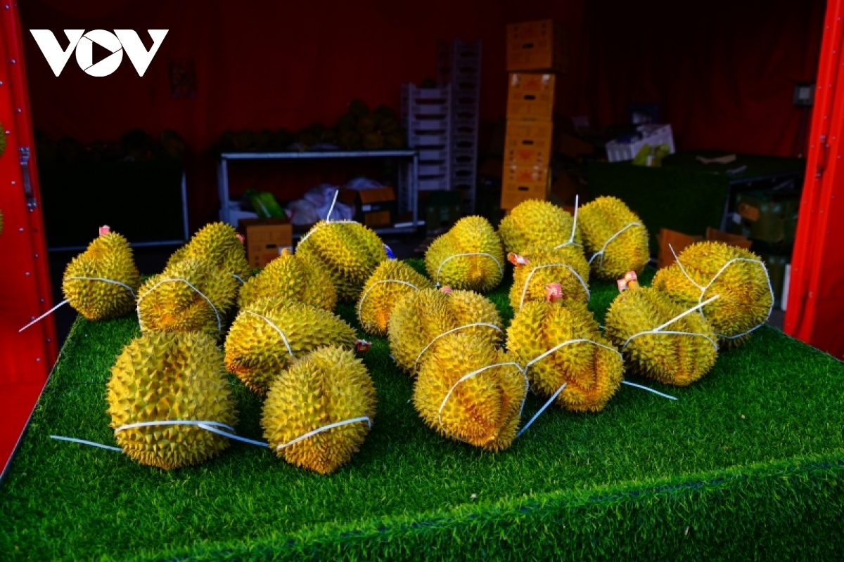 Vietnamese durians have been exported through official channels to China since September