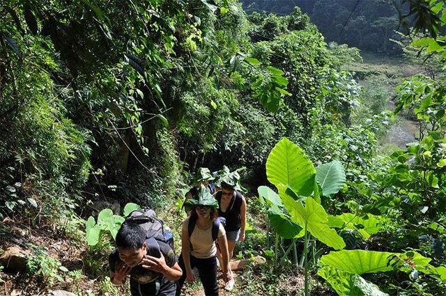 Ba Be National Park is widely considered to offer the best treks for escaping crowds. According to the travel guide, the trek offers a deep dive into mountain culture and an insight into the way of life that still moves with the rhythms of the seasons. “As well as sampling village life, you can drop in on dramatic waterfalls and tortuous cave systems, and stop overnight at quiet homestays overlooking the lakes,” it noted. (Photo: Babenationalpark)