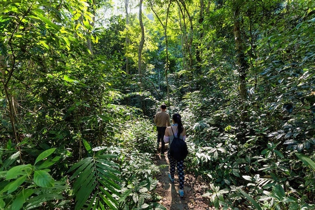 Cat Ba National Park is listed among Lonely Planet’s Best island adventure trek in Vietnam. The scenery in Cat Ba National Park in Ha Long Bay is almost entirely green and features beds of moss and forest glades exhibiting a spectrum of emerald, lime, chartreuse, and other hues. The website notes that the park is also a great spot for climbing, with several operators running trips to local karst outcrops with all gear included. (Photo: Lonely Planet)