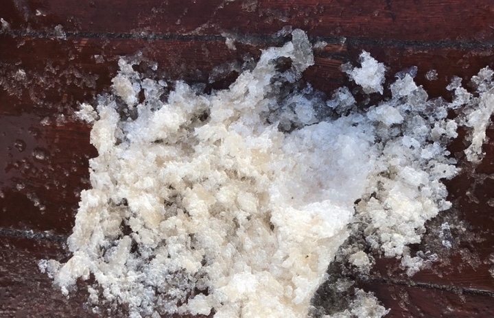 Thin layers of ice form on the surface and melt after about 30 minutes.