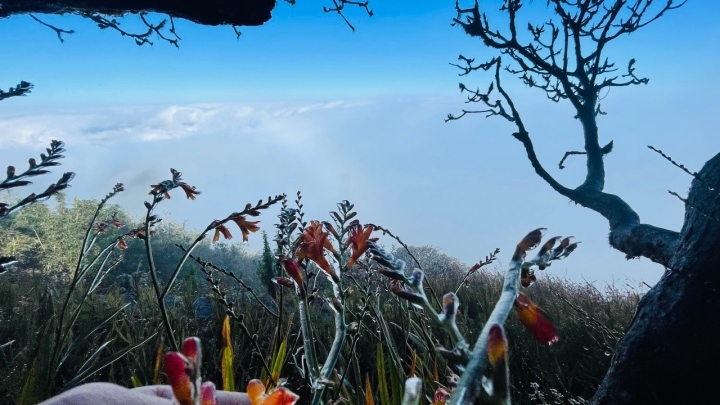 The mountain peak is expected to be covered with ice and frost in the coming days when cold air waves intensify.