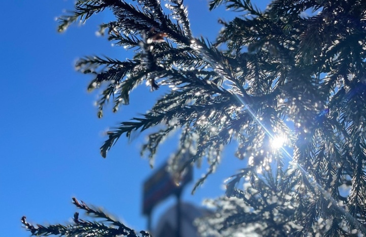 The ongoing cold front that hit the northern border of Vietnam early on December 17 is spreading across the northern region, causing temperatures to fall sharply.