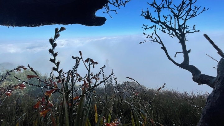 Temperatures are forecast to dip to between 8 – 11 degrees Celsius in the plain, 3-7 degrees Celsius in the midland and 0 and even below zero in the highlands.
