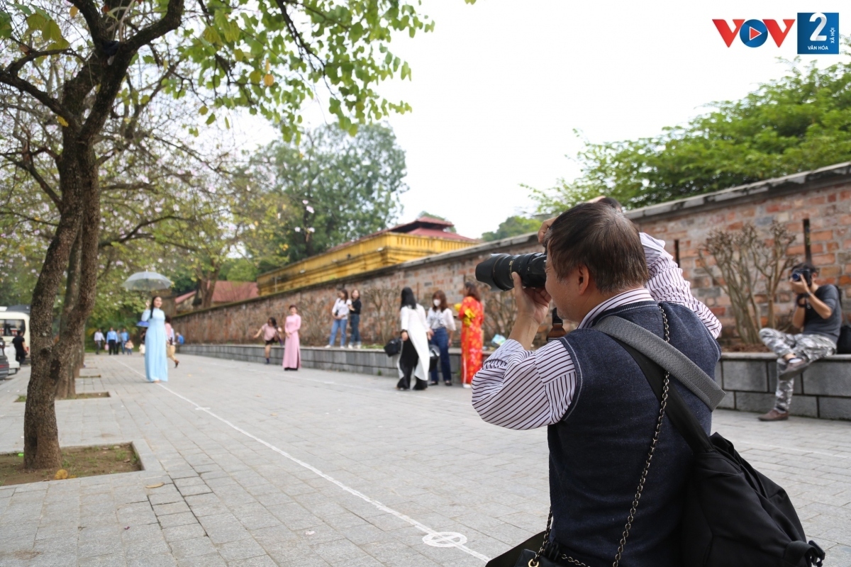 Many young people come to snap photographs among the bright flowers as they wish to capture a brilliant picture of the spring blossoms.