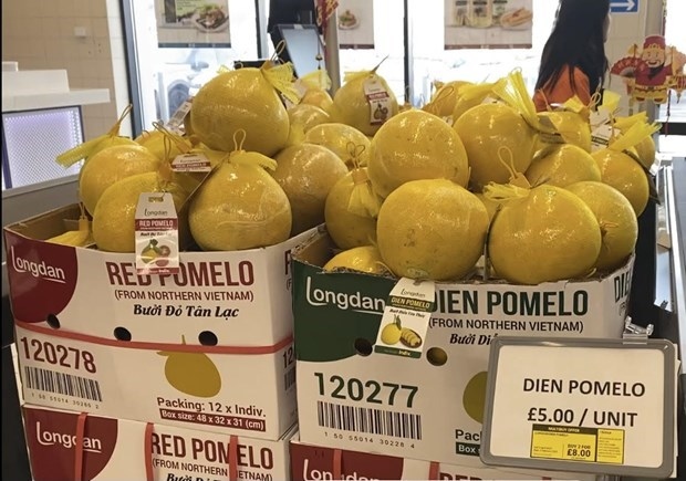 Dien pomelo and Red pomelo  on the shelves of Longdan supermarket