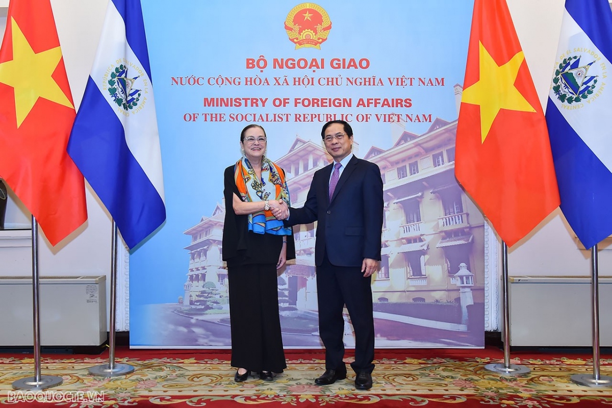 Minister of Foreign Affairs Bui Thanh Son (R) welcomes his El Salvador counterpart Alexandra Hill Tinoco to Vietnam for a working visit. (Photo: baoquocte.vn)