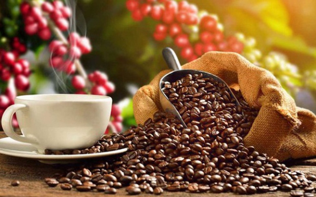 Vietnam is the largest coffee supplier to Spain. (Illustrative image)